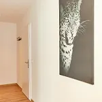 Filou Appartement